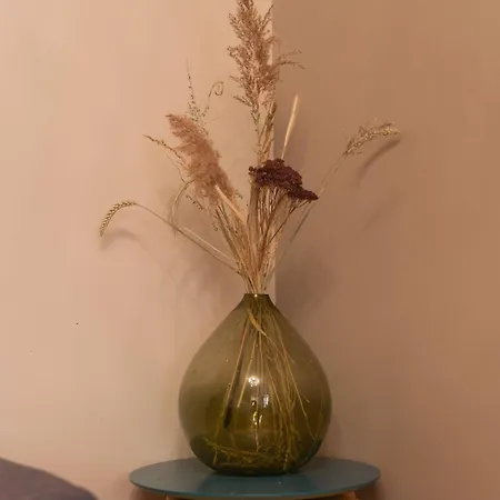 別荘 La Maisonnette Etape De Saint-come D'olt Saint-Côme-dʼOlt