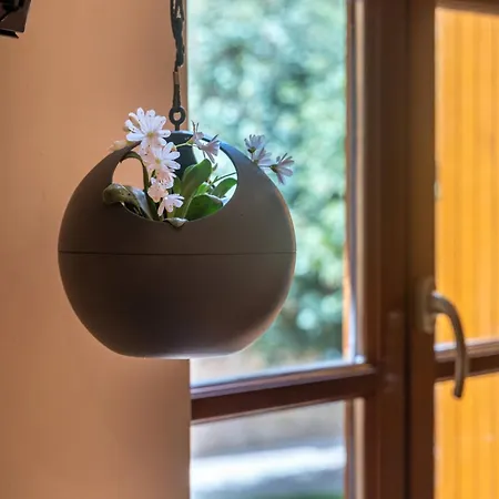 別荘 La Maisonnette Etape De Saint-come D'olt *