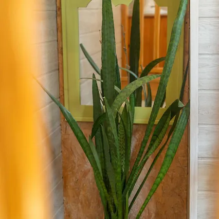 La Maisonnette Etape De Saint-come D'olt Saint-Côme-dʼOlt