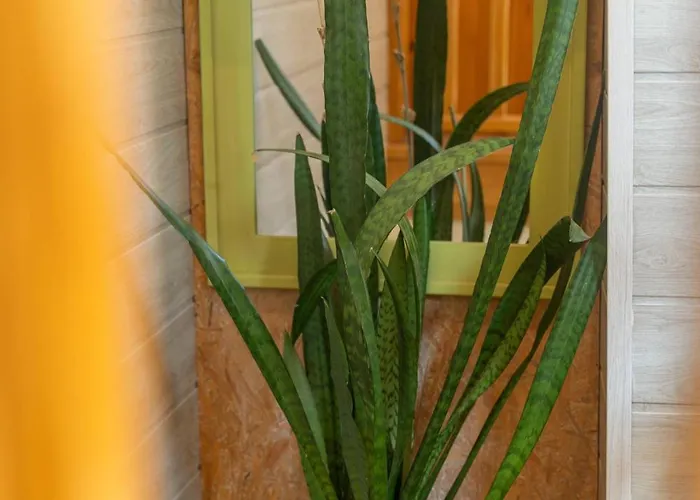 La Maisonnette Etape De Saint-come D'olt Saint-Côme-dʼOlt